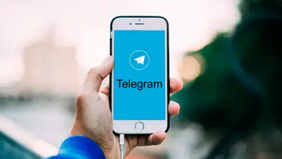 ООН назвала Telegram «местом для преступных группировок»